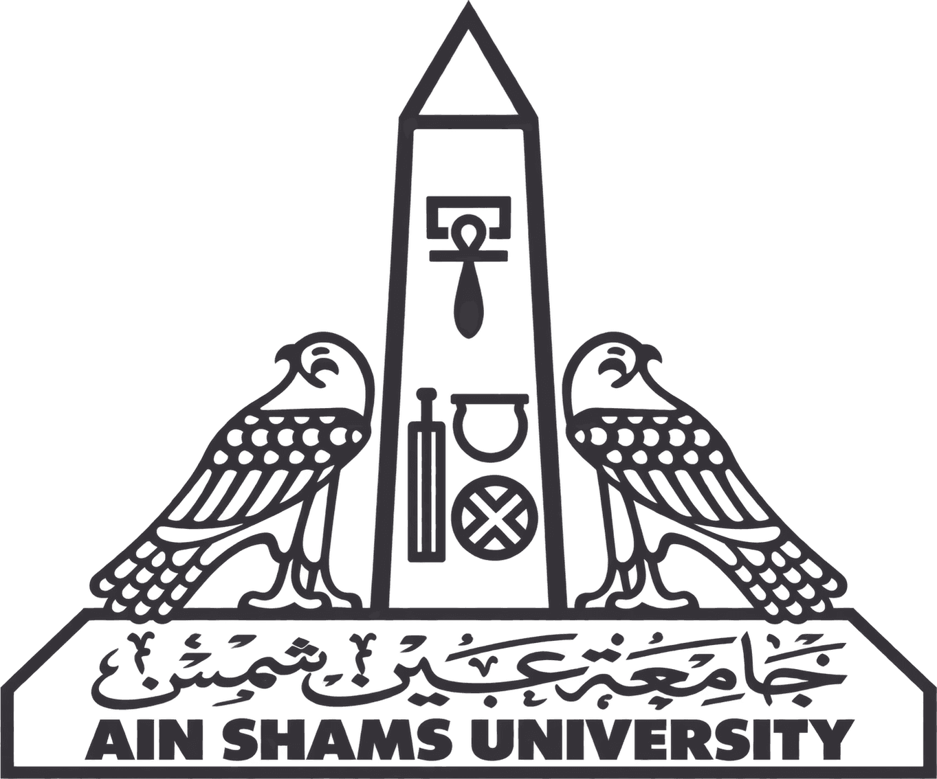 Ain Shams University